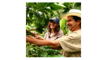 $ 155 billion will be delivered by the national government to support the coffee sector.