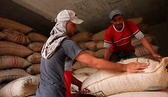 Producción de café colombiano alcanza 14,3 millones de sacos en últimos 12 meses